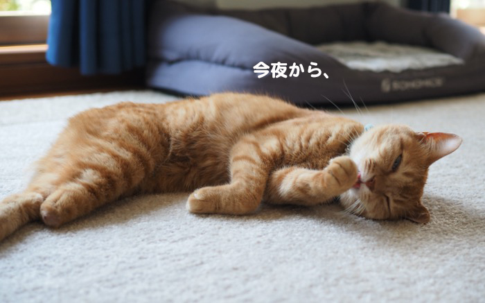15日夕ブログ３