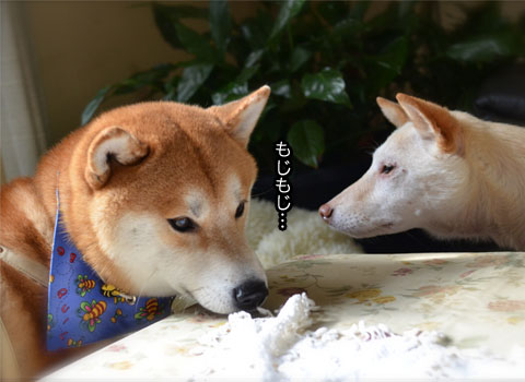 29日ブログ2.jpg