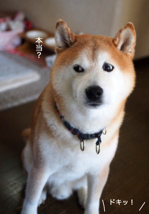 5日ブログ５