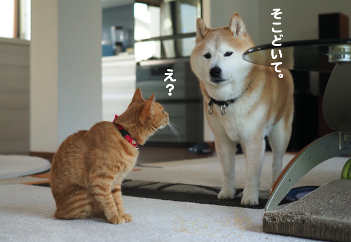 19日ブログ4