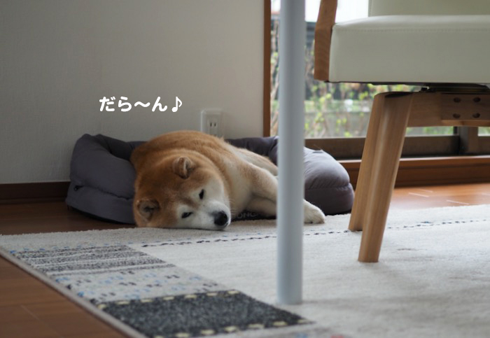 1日午後ブログ３