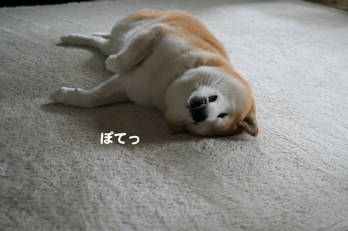 22日ブログ１