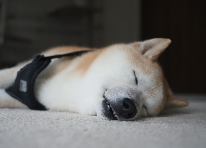 5日ブログ１