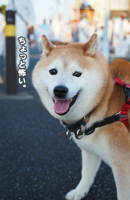18日ブログ３