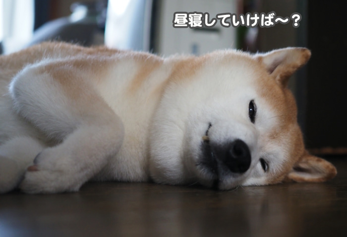 30日夕ブログ６