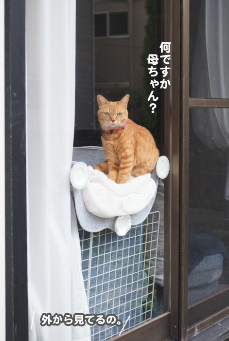 29日夕ブログ５