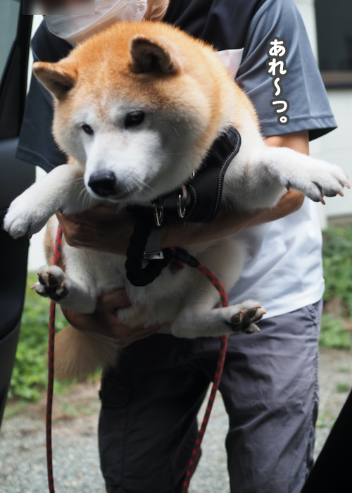 27日夕ブログ２