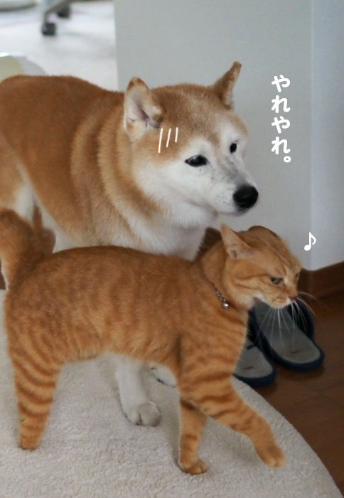 15日夕ブログ６