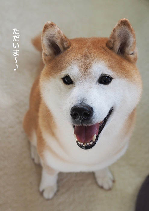 11日ブログ１