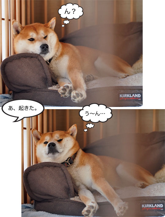 14日ブログ7.jpg