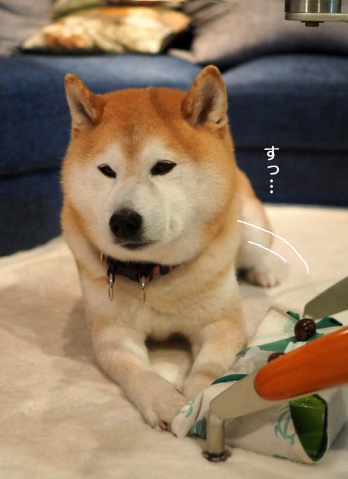 15日ブログ４