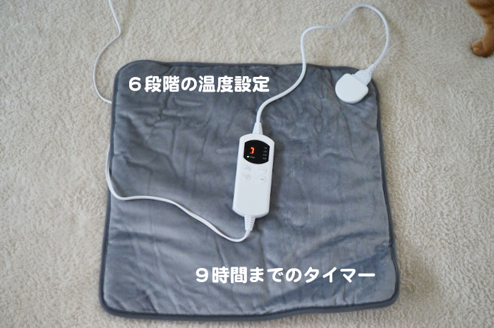 22日夕ブログ３