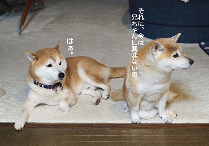 23日ブログ12