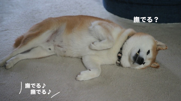 19日ブログ４