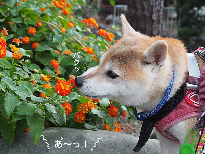 10日夜ブログ３