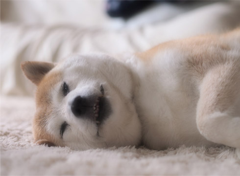 21日ブログ7.jpg