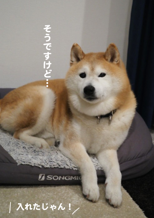 1日夕ブログ９