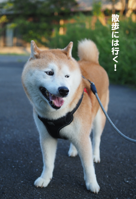 25日ブログ３