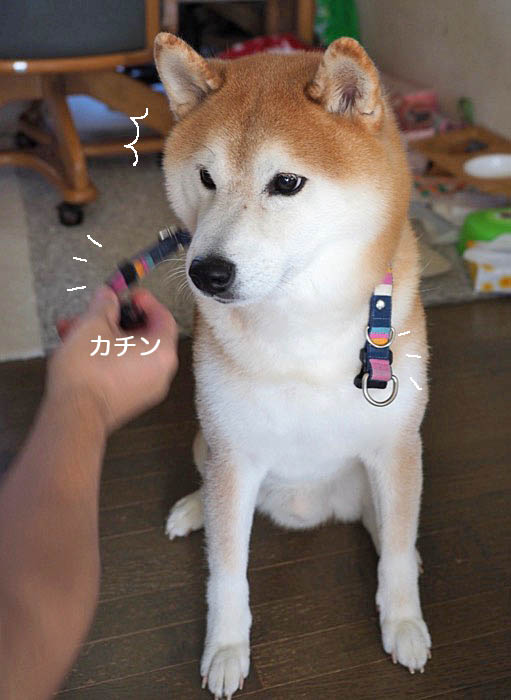 13日ブログ２