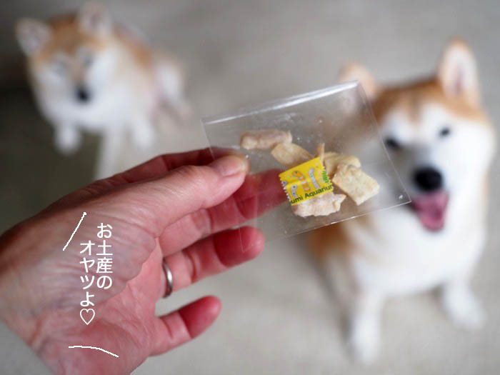 25日ブログ１０