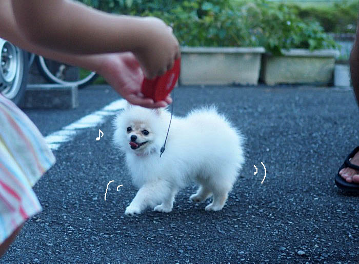 31日午前ブログ４