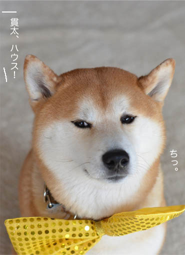 28日ブログ10.jpg