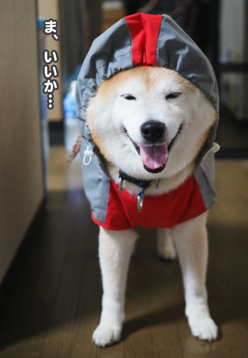31日ブログ２