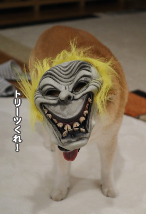 31日夕ブログ８