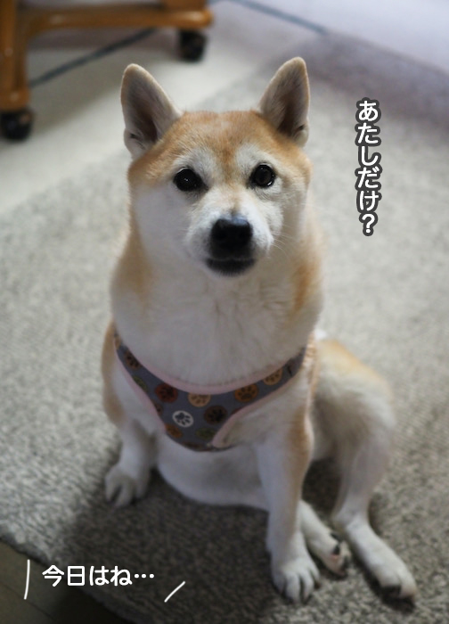 14日ブログ２