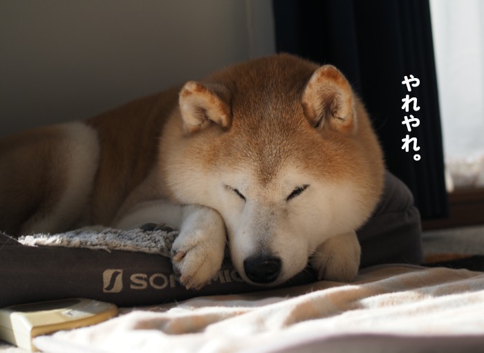 ２４日夕ブログ７