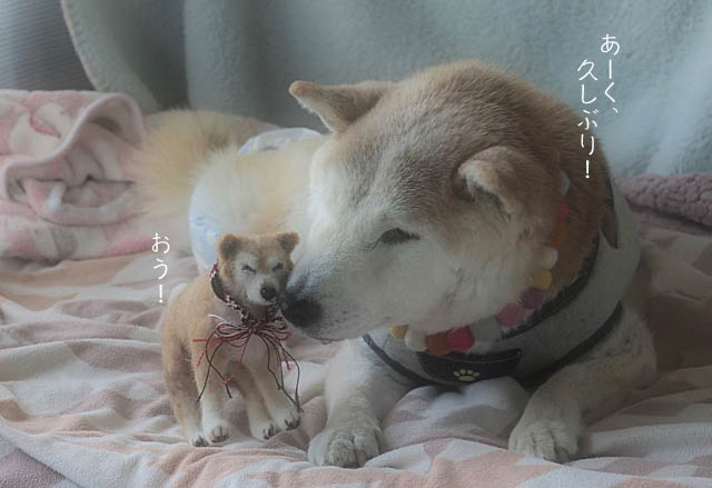 11日ブログ７
