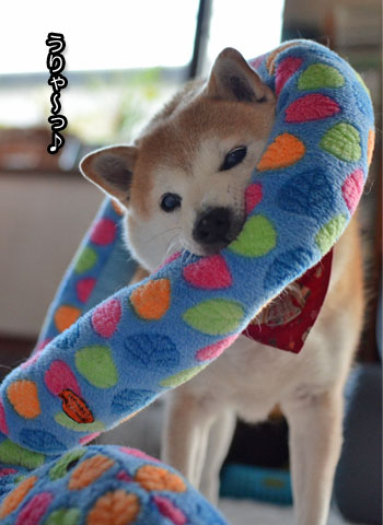5日ブログ5.jpg