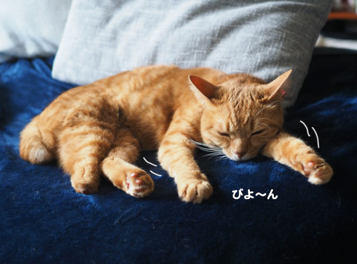 29日夕ブログ２