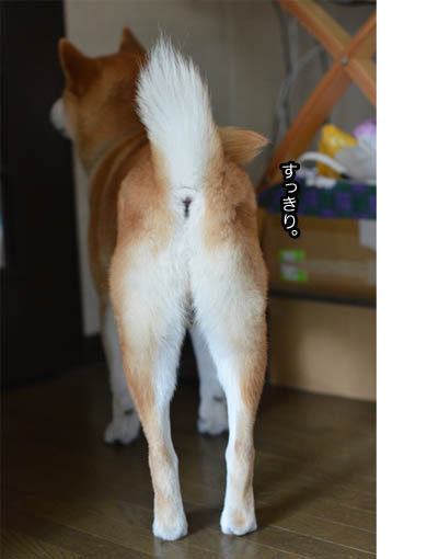 26日ブログ13.jpg