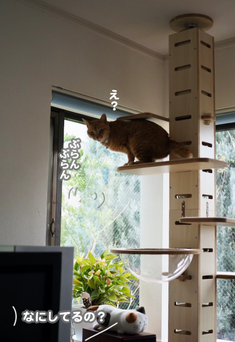 1日夕ブログ２
