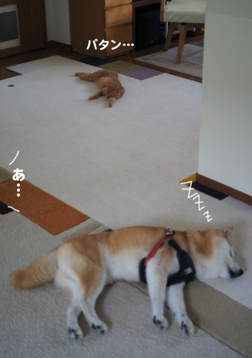 18日夕ブログ3