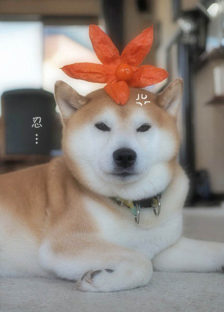 13日ブログ15