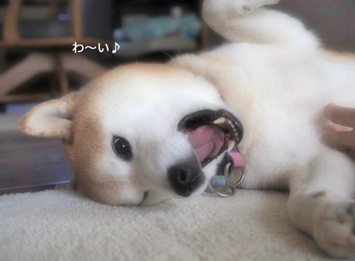 15日ブログ５