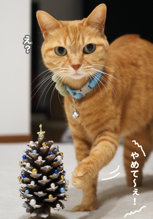 25日夕ブログ２