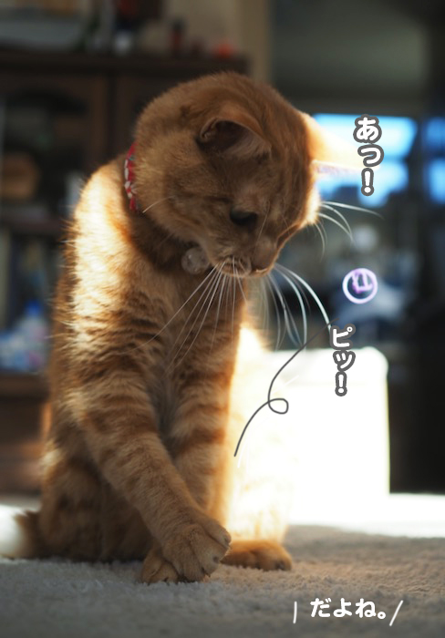 13日夕ブログ８