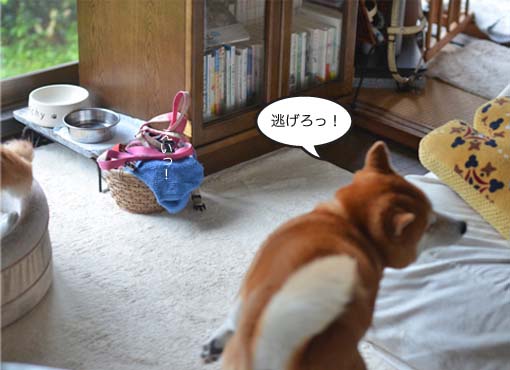 8日ブログ6.jpg