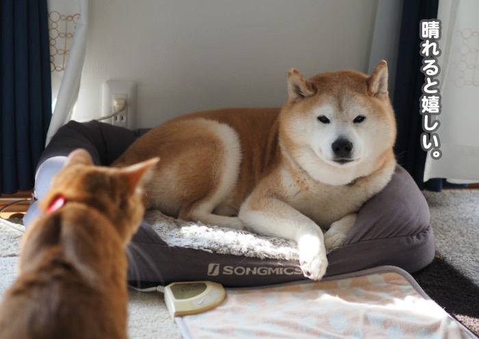 17日午前ブログ３