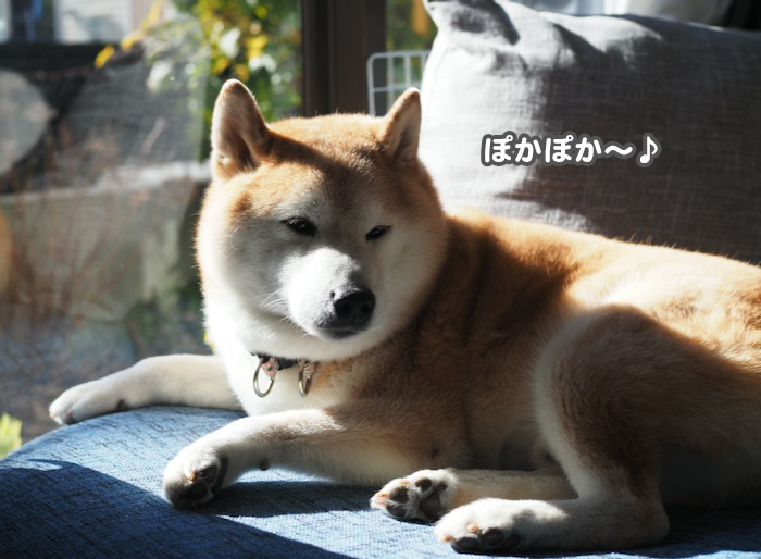 11日ブログ２