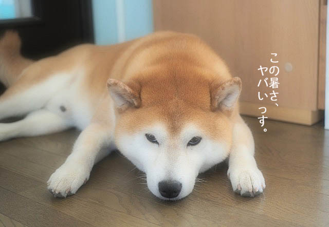 2日ブログ5