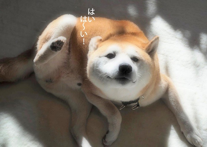 28日ブログ6