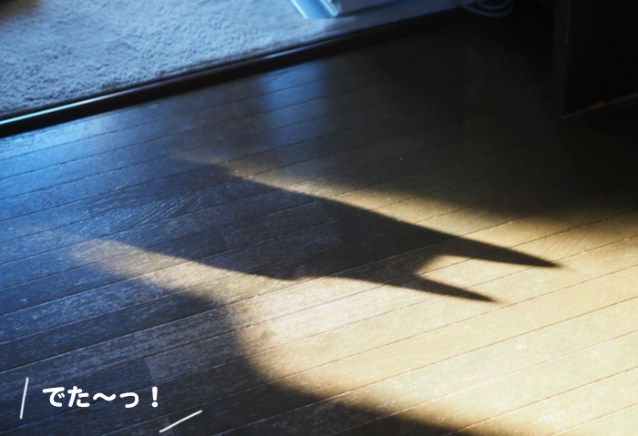 4日ブログ１