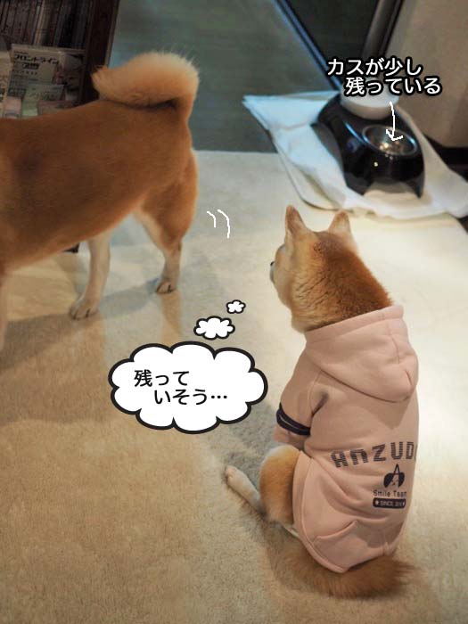 17日夜ブログ７