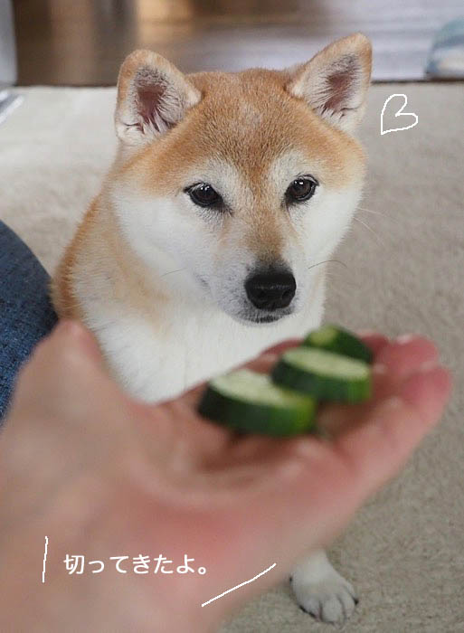 13日ブログ６