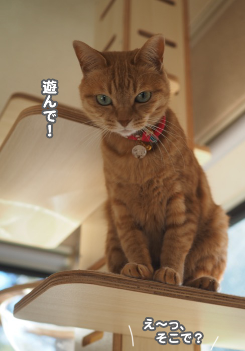 23日ブログ１