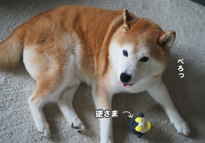 22日ブログ９